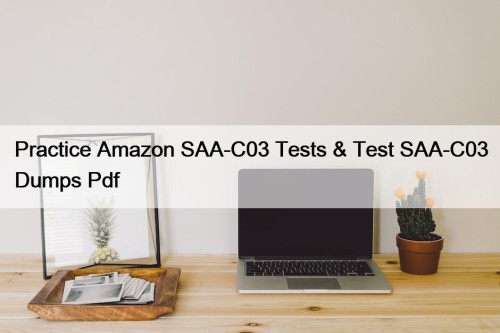 Practice Amazon SAA-C03 Tests & Test SAA-C03 Dumps Pdf