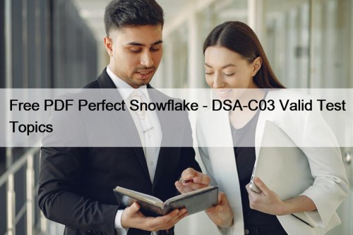 Free PDF Perfect Snowflake - DSA-C03 Valid Test Topics